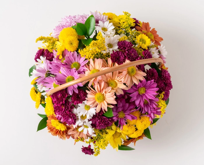 Cesta de Margaridas Coloridas - Image 2